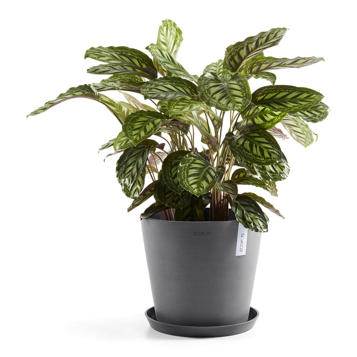 Ecopots Amsterdam 40