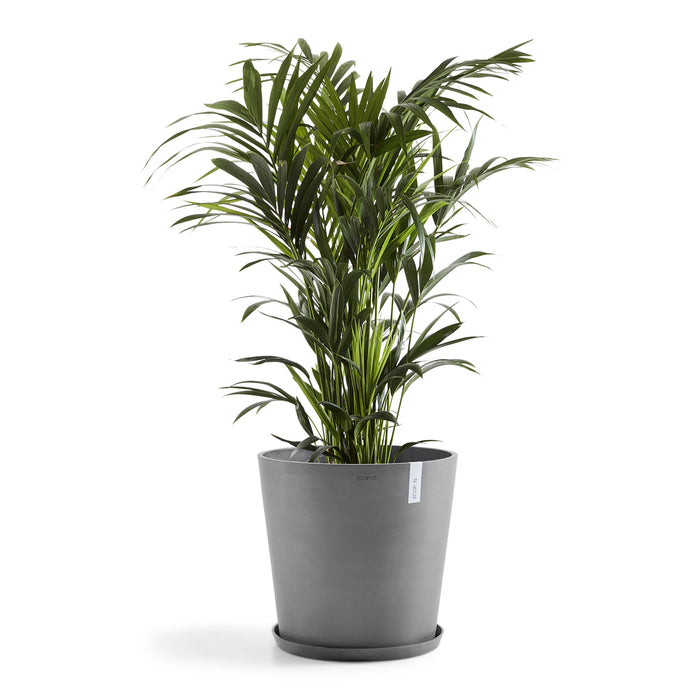 Ecopots Amsterdam 50