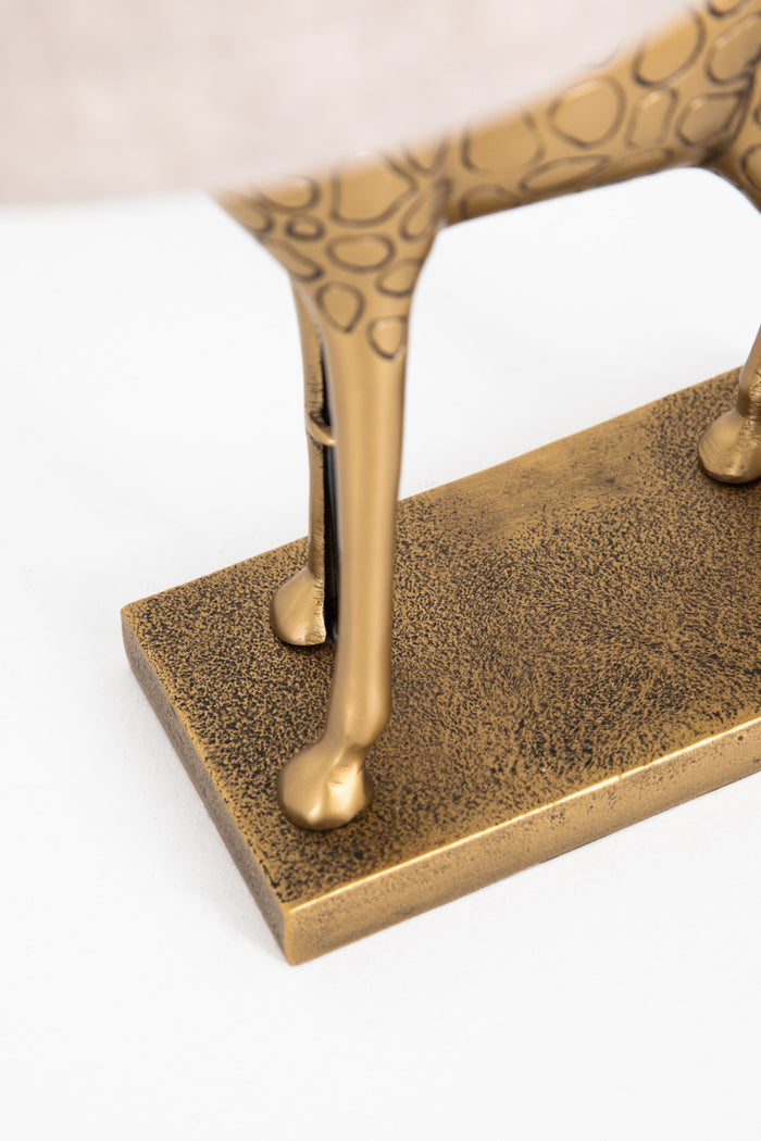 7efca6e0-0db0-4f20-bee1-e1027b946194-afbeelding12.jpg (2321217) 