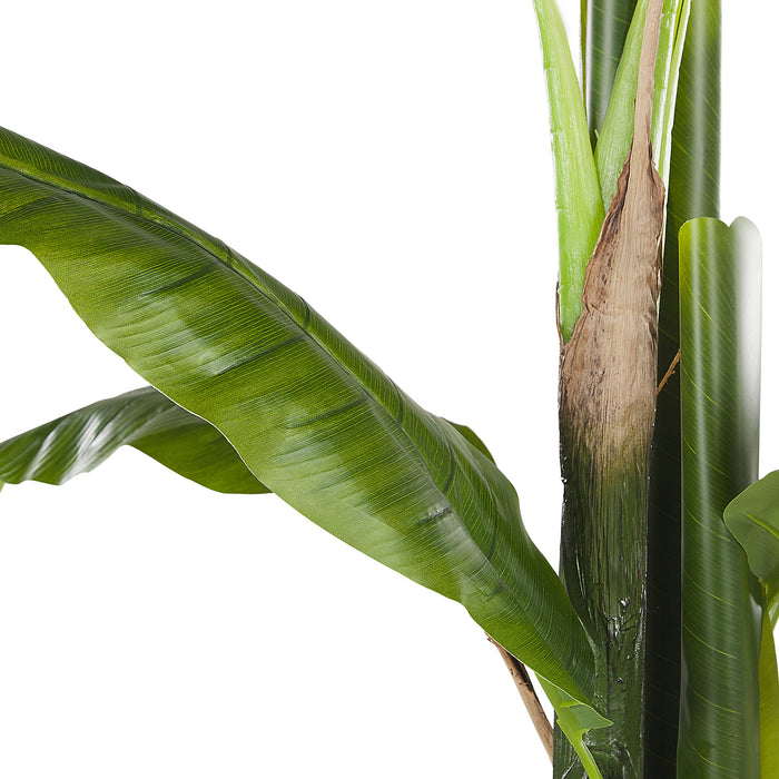 bdc5f45e-3e35-4ce0-a504-63f9b38dc61b-afbeelding6.jpg (2329292) 