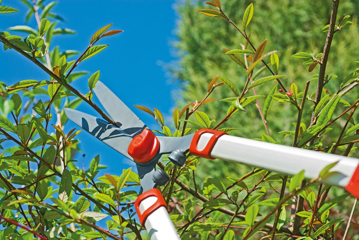 Wolf-Garten HS1000T Telescopische Heggenschaar
