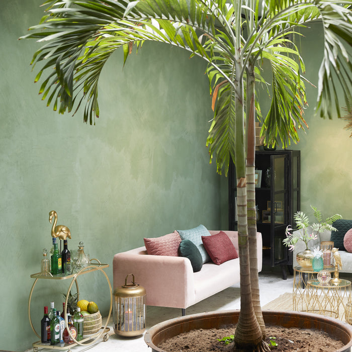 229398-x3.jpg (2359165) 