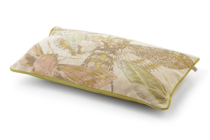 40268450-ea07-451b-867e-c23a3ce0cffa-afbeelding3.jpg (2359258) 