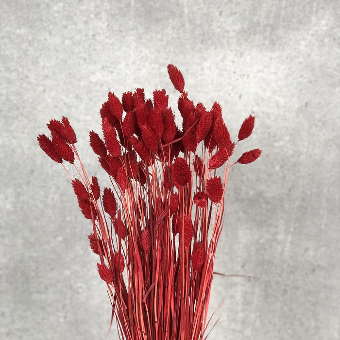 dacf32f5-7214-4d4e-a13d-f5119c78c4bf-afbeelding3.jpg (2366573) 