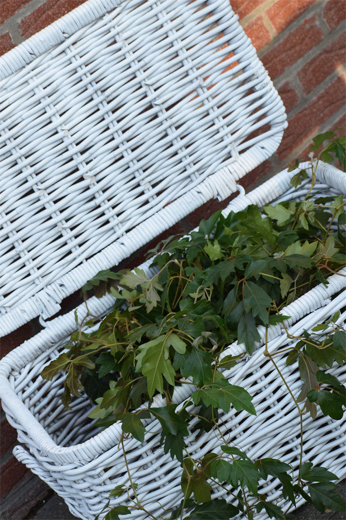 08f56fd0-2c28-42cb-b3fd-12616fe6e7ae-afbeelding5.jpg (2387293) 