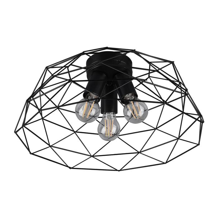 Reality Haval Plafonnière