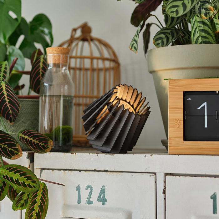 304414-x03.jpg (2405826) 