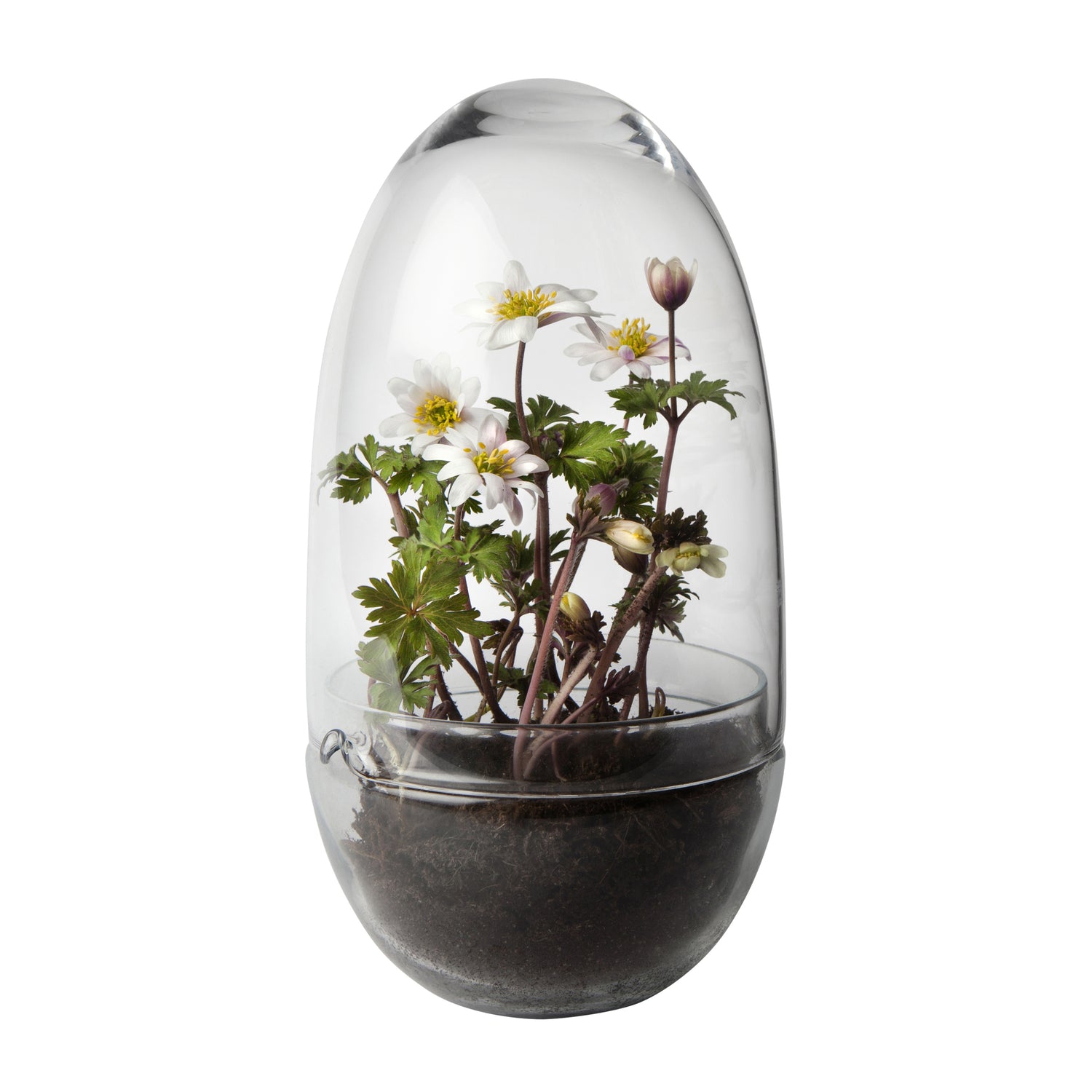 Design House Stockholm Grow Kweekkas