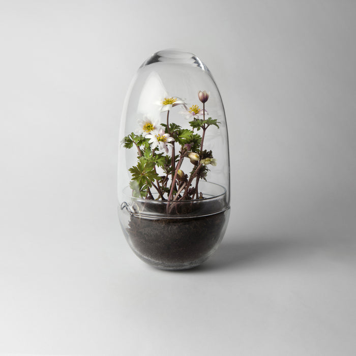 Design House Stockholm Grow Kweekkas