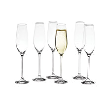 Salt & Pepper Cuvee Champagneglazen 0,21 L - 6 st.