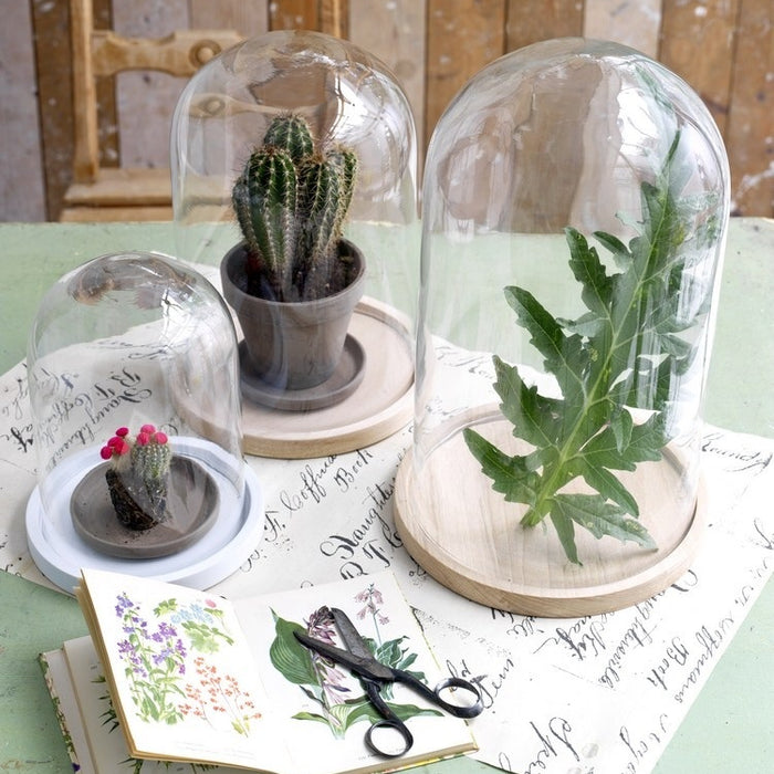 256425-3.jpg (2433934) 