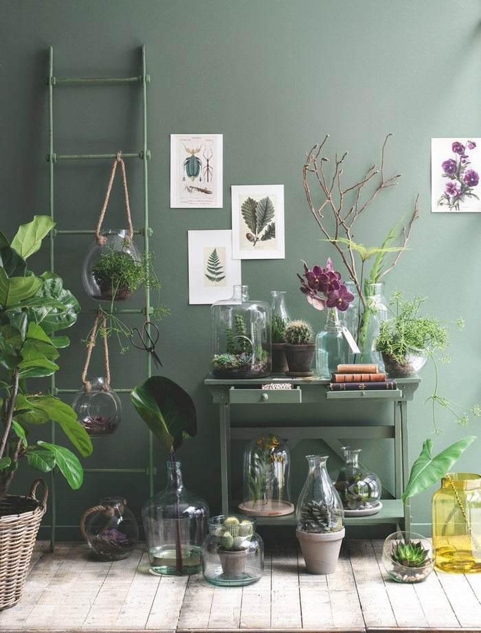 256425-5.jpg (2433936) 