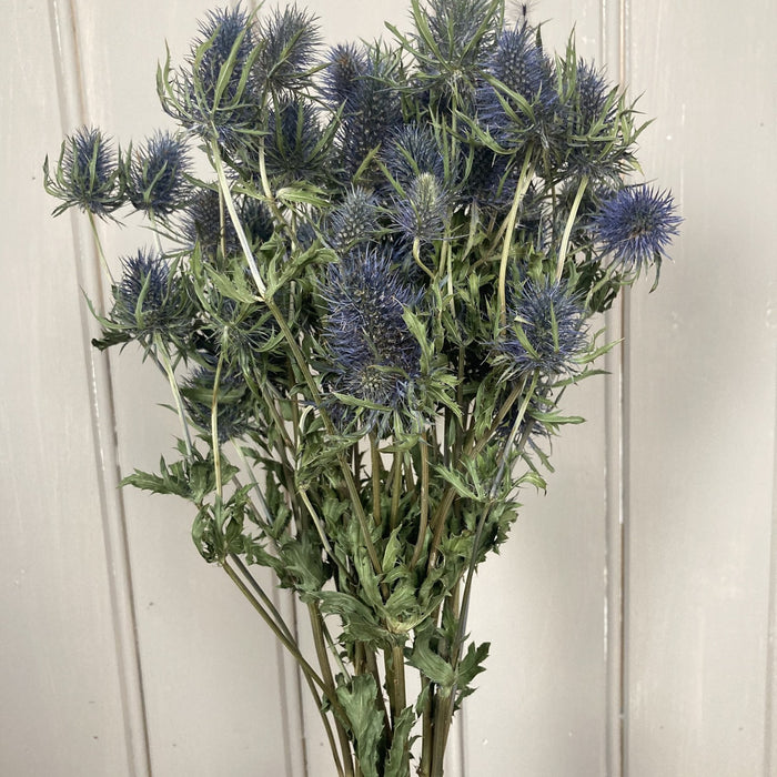 f0b13797-d57f-4fa4-a366-8d7c48f355cc-afbeelding5.jpg (2449472) 