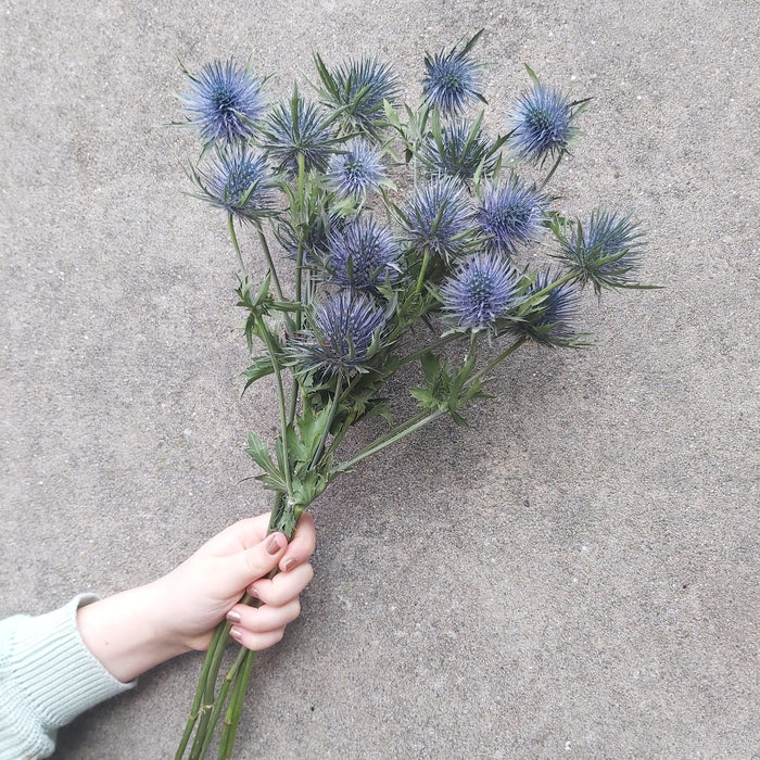 f0b13797-d57f-4fa4-a366-8d7c48f355cc-afbeelding7.jpg (2449474) 