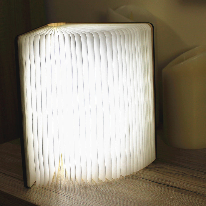 Gingko Smart LED Book Light Mini Lamp