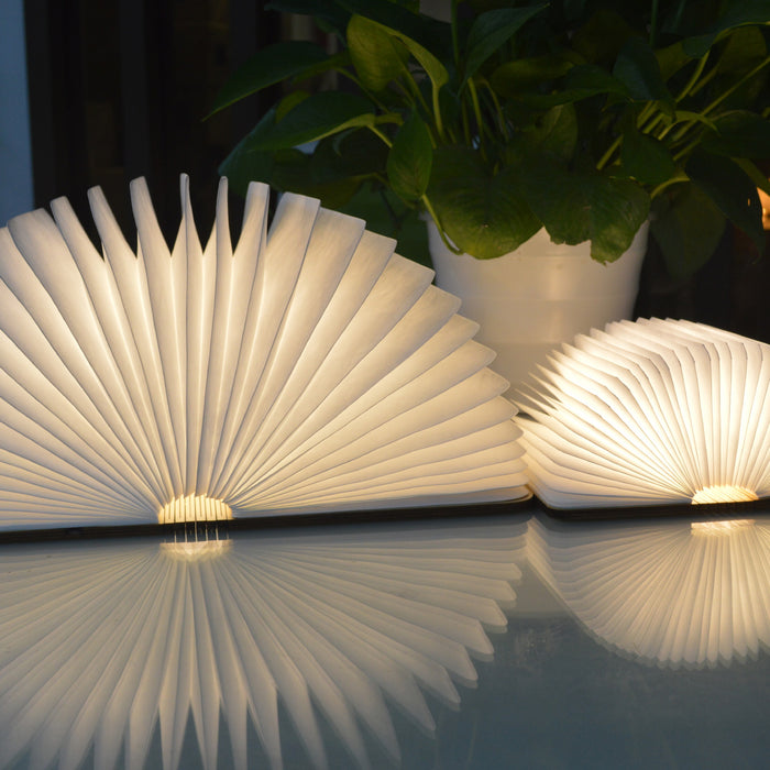 Gingko Smart LED Book Light Mini Lamp