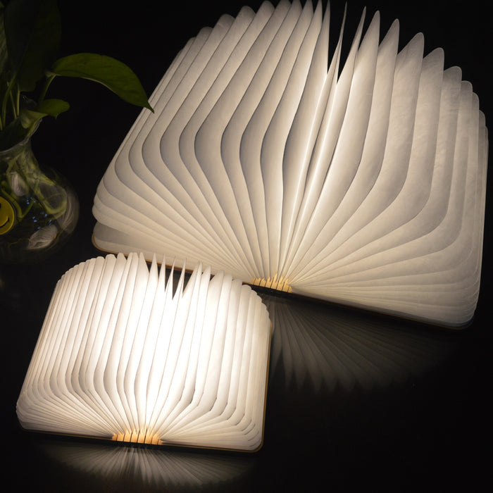 Gingko Smart LED Book Light Mini Lamp