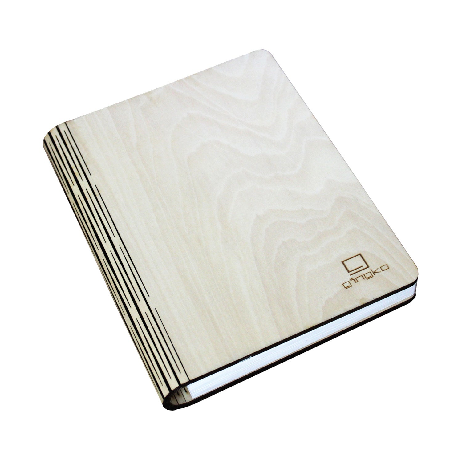 Gingko Smart LED Book Light Mini Lamp