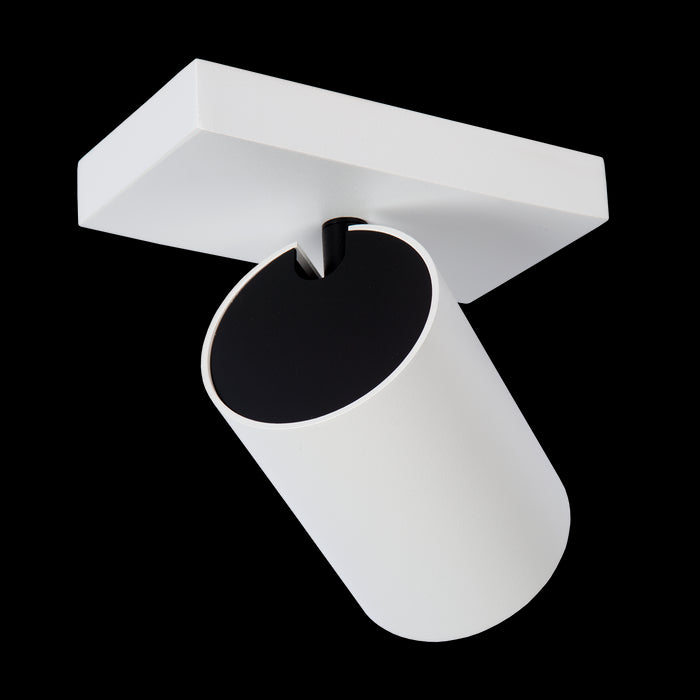 8a2d5841-fca5-4959-b8f8-5cad963fce95-afbeelding5.jpg (2459519) 