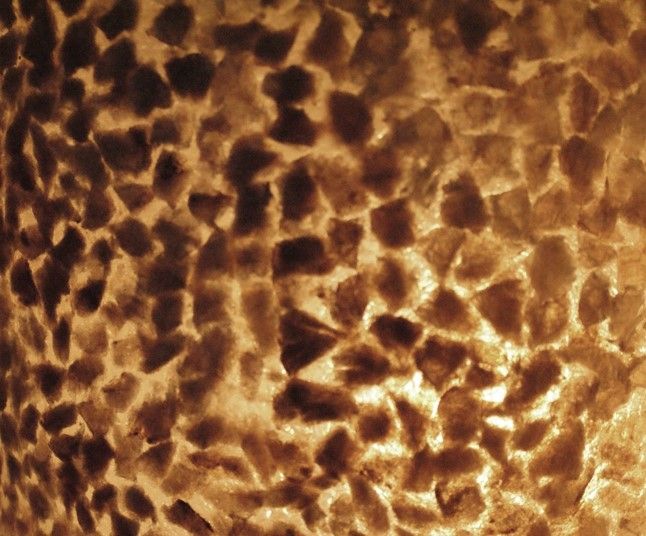 0e36d1fd-d10e-4b5d-94b7-54d5a851f94b-afbeelding11.jpg (2469264) 