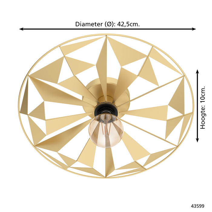 307438-x04.jpg (2471701) 