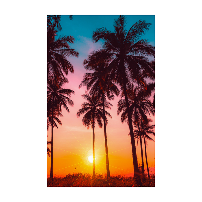 286448-x2.png (2496294) 