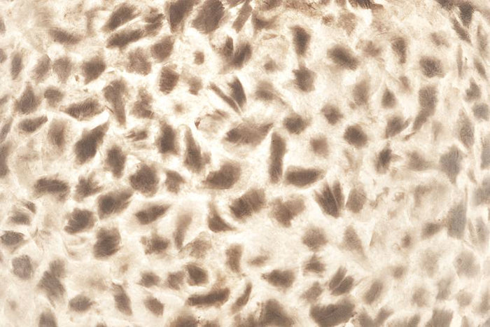 f6dd7b62-ae3b-4835-977f-7895158bcfb8-afbeelding6.jpg (2499122) 