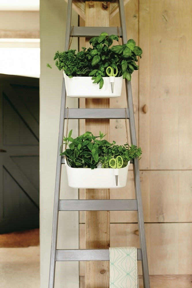 Elho Brussels Herbs Station Kruidenpot