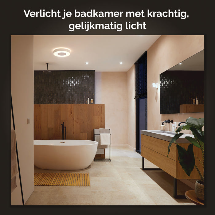 310456-x02.jpg (2521016) 