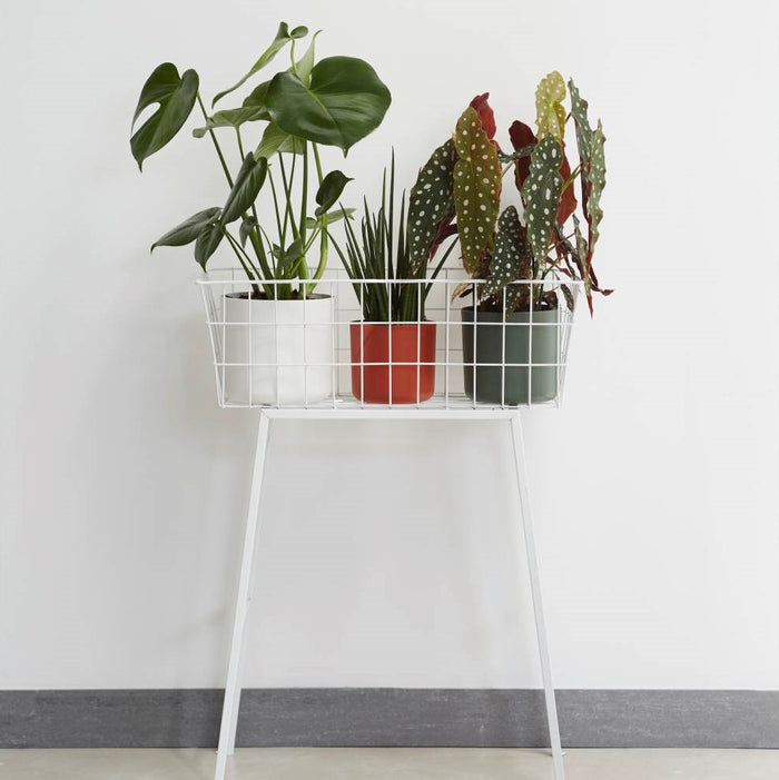 217459-x7.jpg (2526928) 