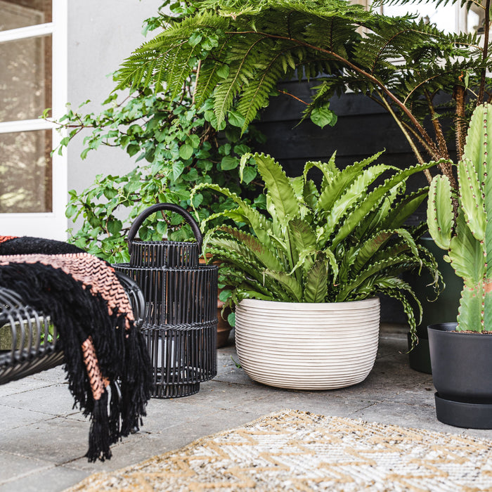 elho Greenville Bloempot 25 cm