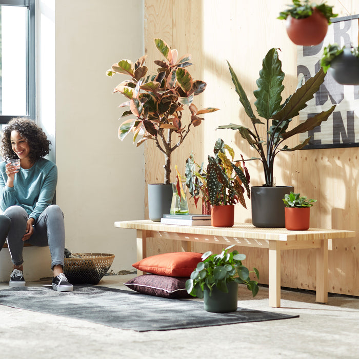 Elho B.For Soft Bloempot Rond 18 cm