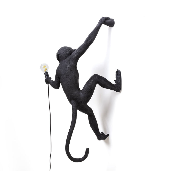 Seletti Monkey Outdoor Lampresin Hanging