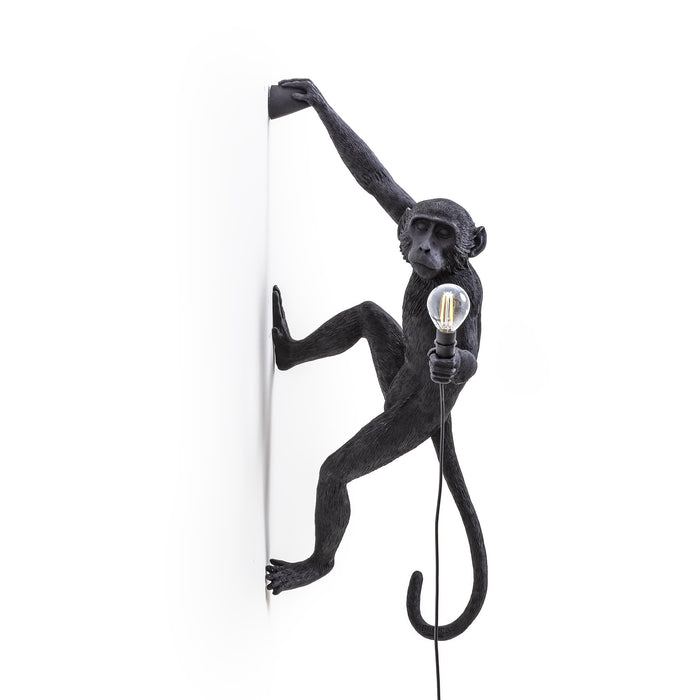 Seletti Monkey Outdoor Lampresin Hanging