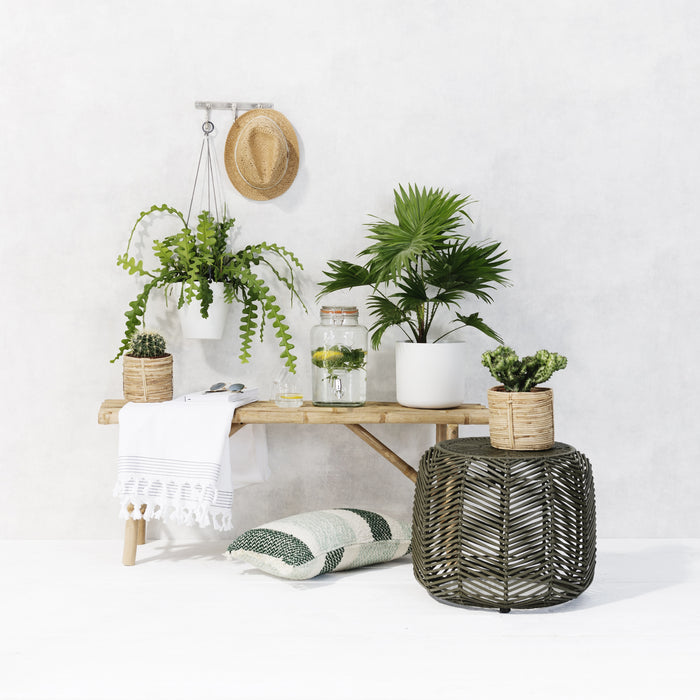 217493-x3.jpg (2538320) 