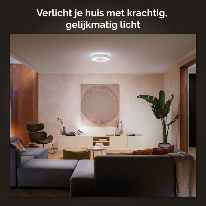 310465-x03.jpg (2546678) 