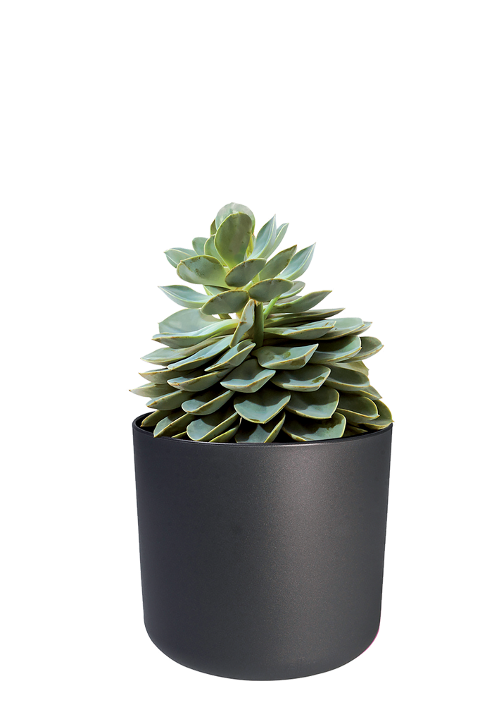 217466-2.png (2546864) 