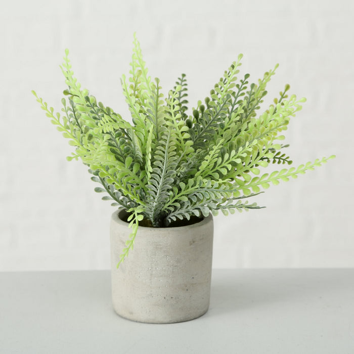 f3685f28-d4d8-4978-830b-d8b5c9d17a87-afbeelding3.jpg (2557073) 