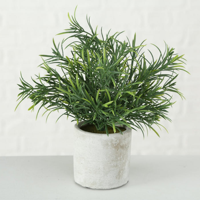 f3685f28-d4d8-4978-830b-d8b5c9d17a87-sfeerbeeld.jpg (2557076) 