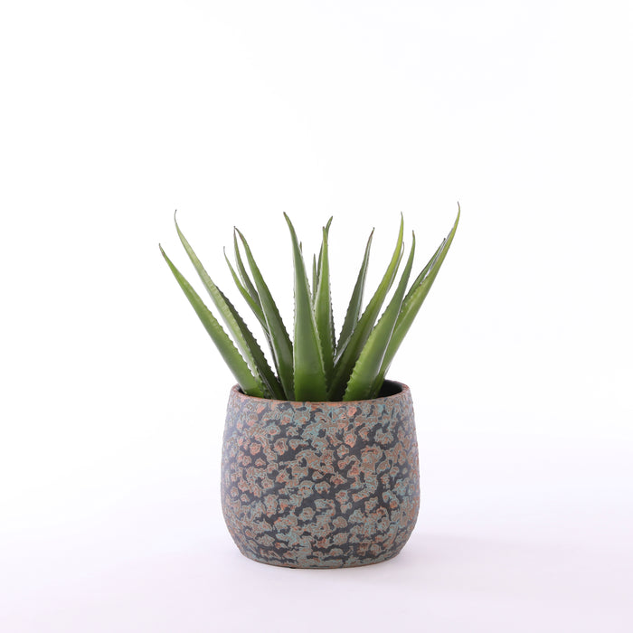 a0656241-02db-40c6-ad71-1938bda46bcf-afbeelding12.jpg (2577713) 