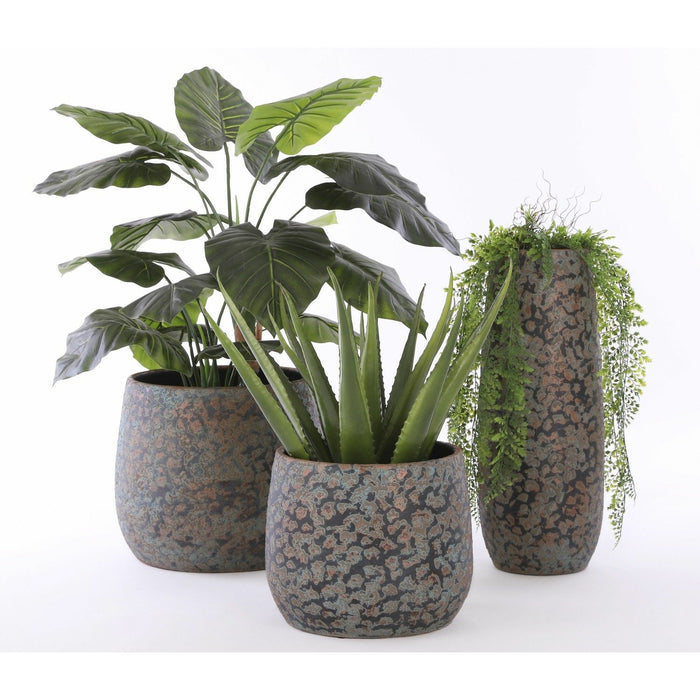 a0656241-02db-40c6-ad71-1938bda46bcf-sfeerbeeld.jpg (2577721) 