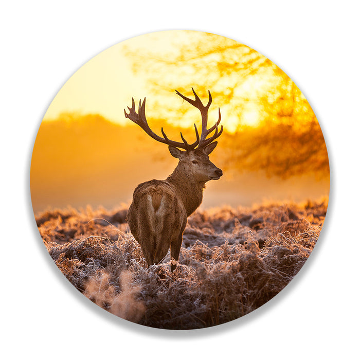 10869392-6990-4787-b229-40a45493adde-afbeelding5.jpg (2586391) 