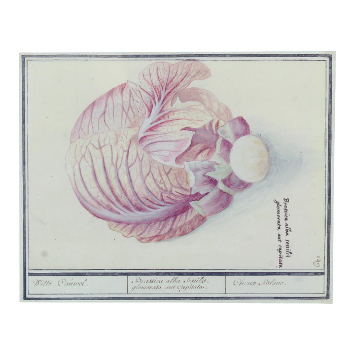 MOOS Mace Fotolijst 10 x 15 cm