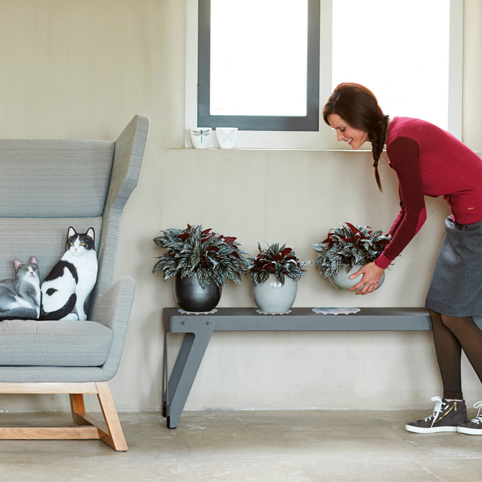 Elho Floorprotector Onderzetter 18 cm