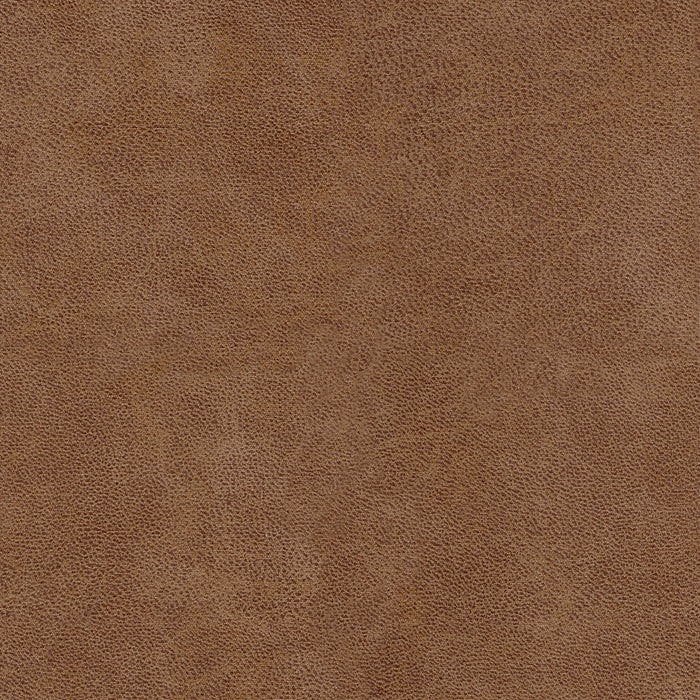 by fonQ  Lux Eetkamerstoel