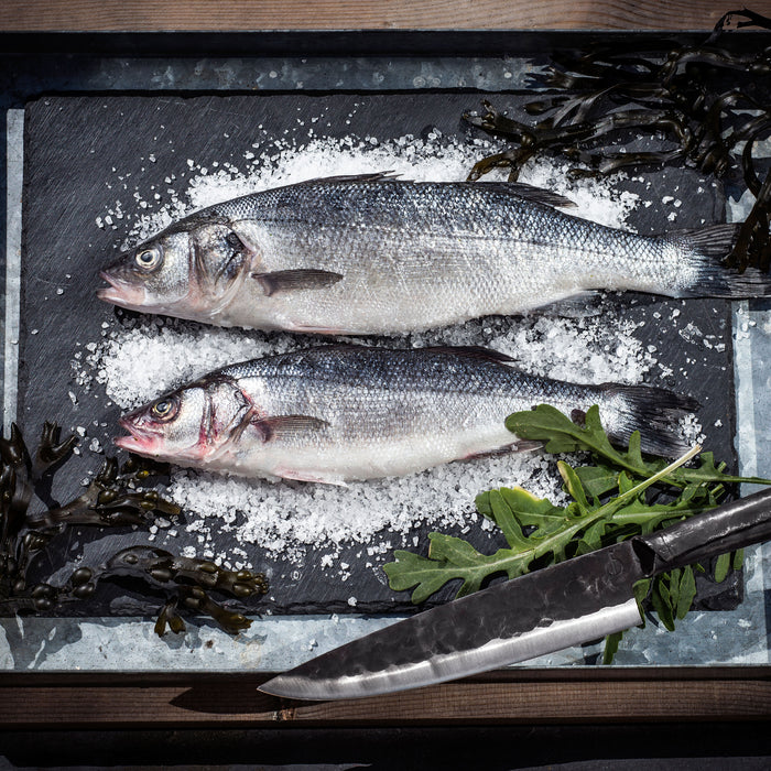 Forged Brute Koksmes L 20,5 cm