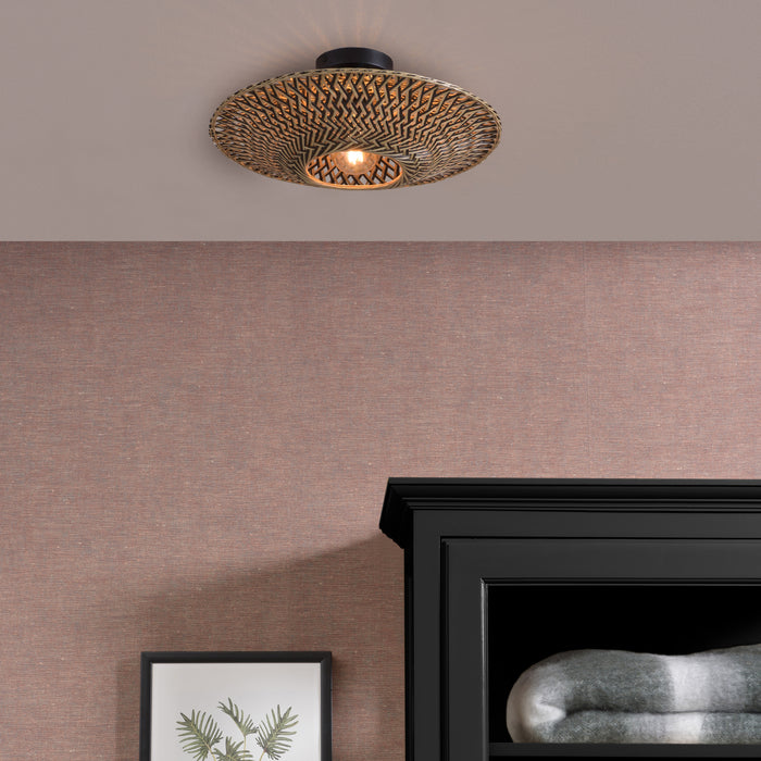 299514-x01.jpg (2617117) 