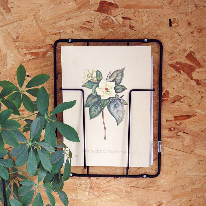 188517-x3.jpg (2632978) 