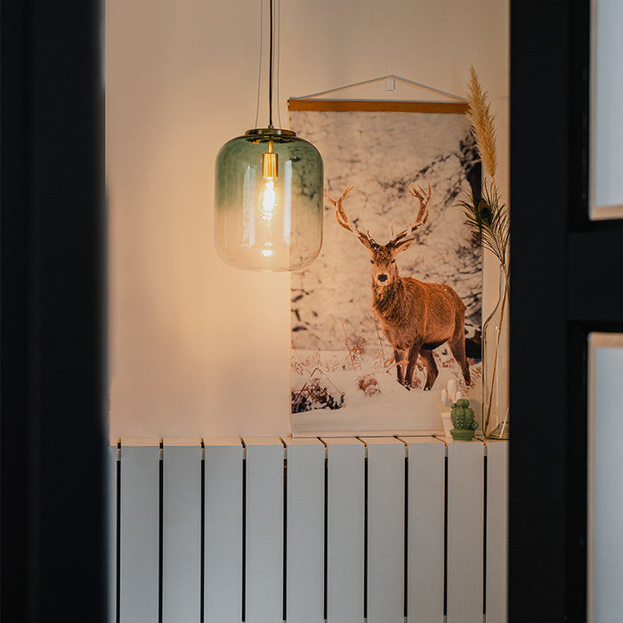 QAZQA Hanglamp bliss - Groen - Design - D 300mm