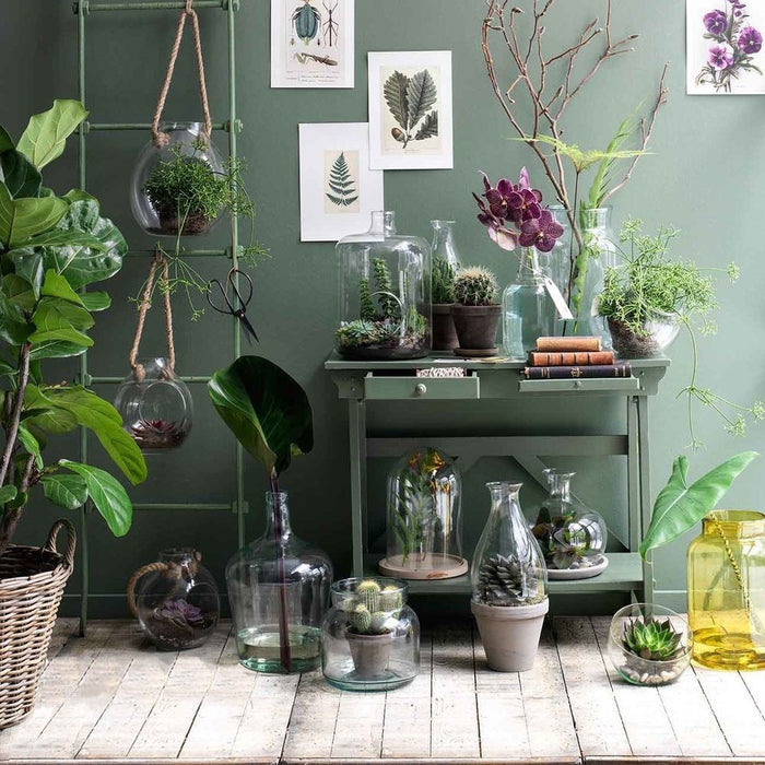 258519-2.jpg (2644071) 